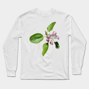 Apple blossom Long Sleeve T-Shirt